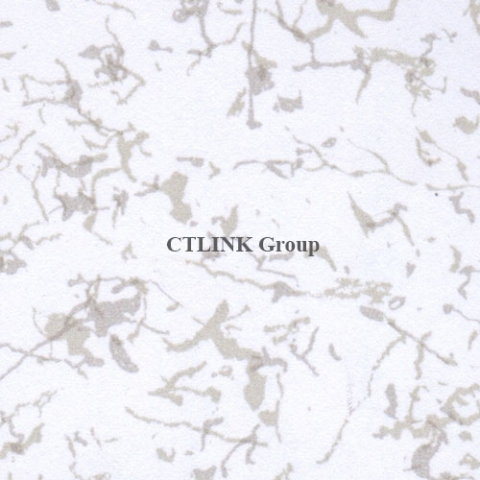 Sàn nâng kỹ thuật khuôn thép lõi xi măng mặt phủ HPL chống tĩnh điện Anti Static